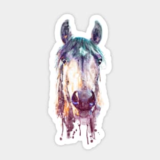 Horse Face Watercolor Front Portrait Sticker